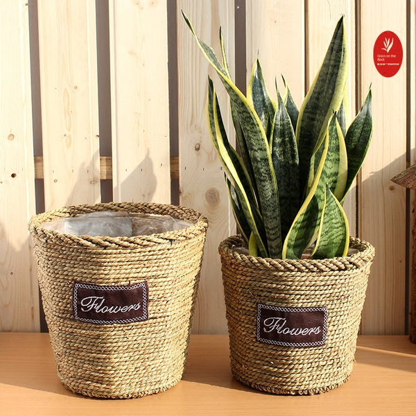 Nordic Sansevieria Trifasciata Prain Ficus Lyrata Living Room Decoration Knitted Basket