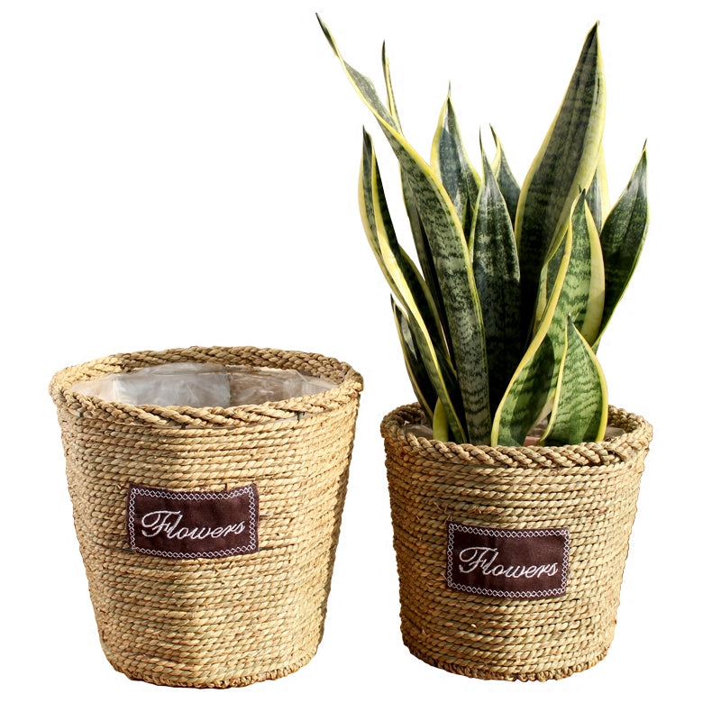 Nordic Sansevieria Trifasciata Prain Ficus Lyrata Living Room Decoration Knitted Basket